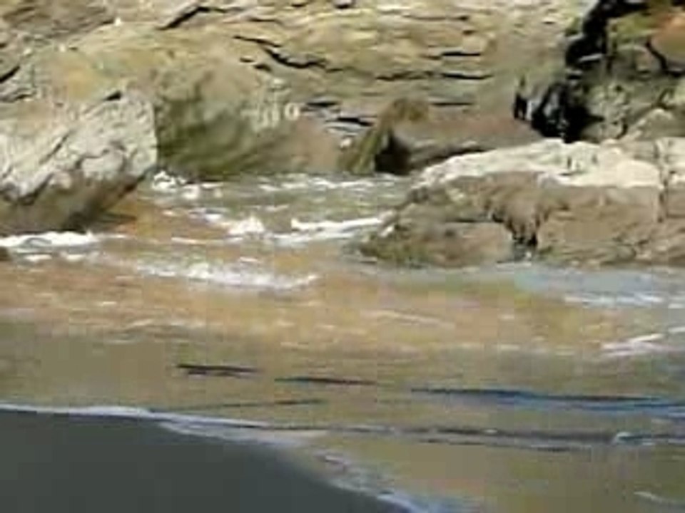 Jacques Loussier play bach