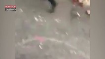 Londres : Il esquive un policier avec un pas de breakdance (vidéo)
