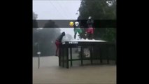 Ces jeunes débiles veulent sauter d'un un abribus pendant les inondations.. FAIL douloureux