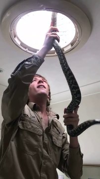 Il capture un python coincé dans le lustre de la salle de bain. Vive l'australie