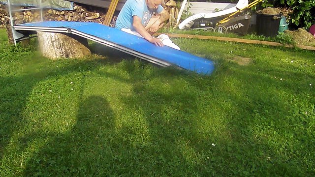 chiots Bulldog Anglais Edenbull's