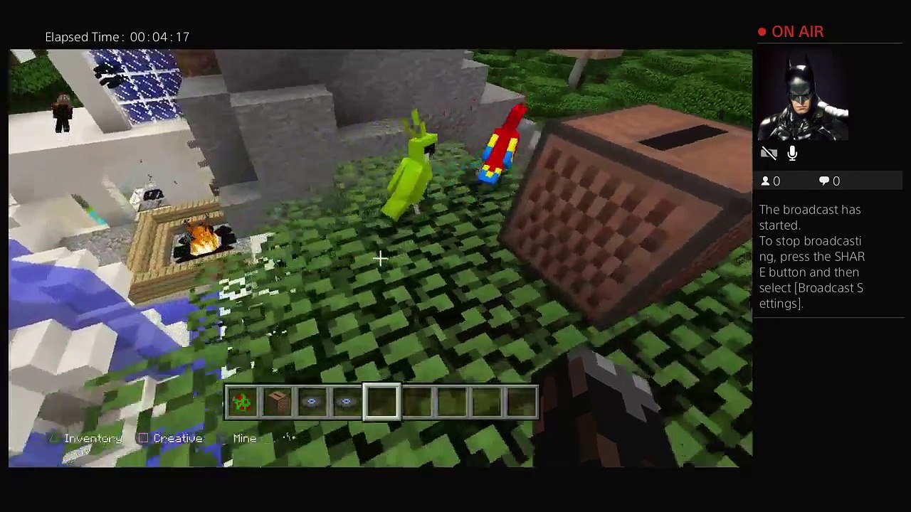 Minecraft (52)