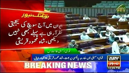 Shah Mehmood Qureshi Speech in NA - 30th August 2017