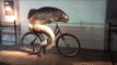 Onlooker Is Hypnotized By Cycling Fish