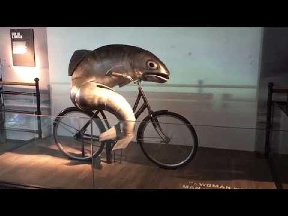 Onlooker Is Hypnotized By Cycling Fish