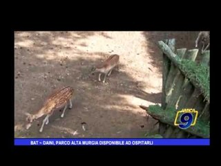 BAT | Daini, Parco Alta Murgia disponibile ad ospitarli