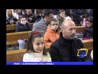 Trani | La benedizione degli animali