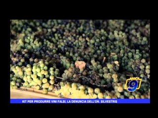Kit per produrre vini falsi, la denuncia dell'On. Silvestris