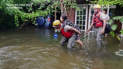 Un adolescente sauve un cheval de la noyade à cause de la Tempête Harvey