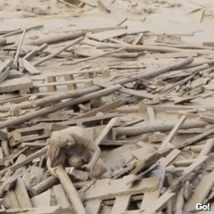 Pérou - Une femme piégée dans une rivière en crue arrive à se sortir miraculeusement des eaux boueuses