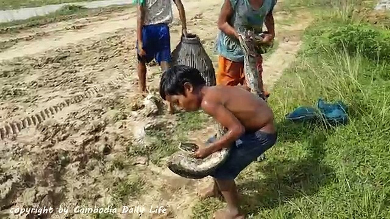 Terrifying!! Brave Little Kids Catch Big Snake in Water While Finding Snails in the  fields