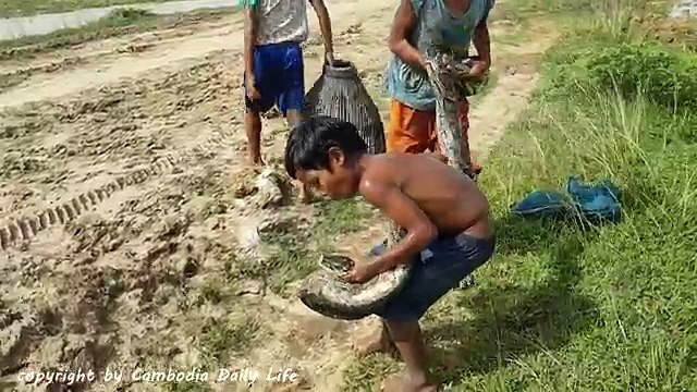 Terrifying!! Brave Little Kids Catch Big Snake in Water While Finding Snails in the fields