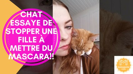 Chat essaye de stopper une fille à mettre du Mascara!!