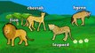 AFRICAN ANIMALS | Animals playlist for children. Kids videos. Kindergarten | Preschool lea