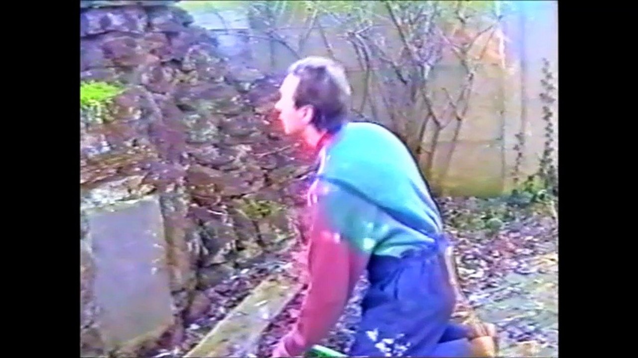 DWVJ 36 Snel weg