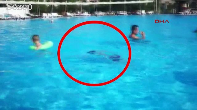 Kahreden görüntü! Herkesin gözü önünde oldu