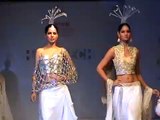 Kavitha Agarwal showcasing Indian Ethinic design in Hamstech Calantha Fashion Show 2010