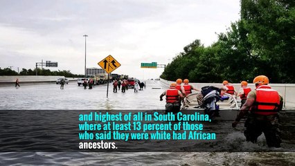 With a Simple DNA Test, Family Histories Are Rewritten