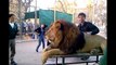 Ce zoo argentin drogue ses animaux pour que les touristes puissent les approcher