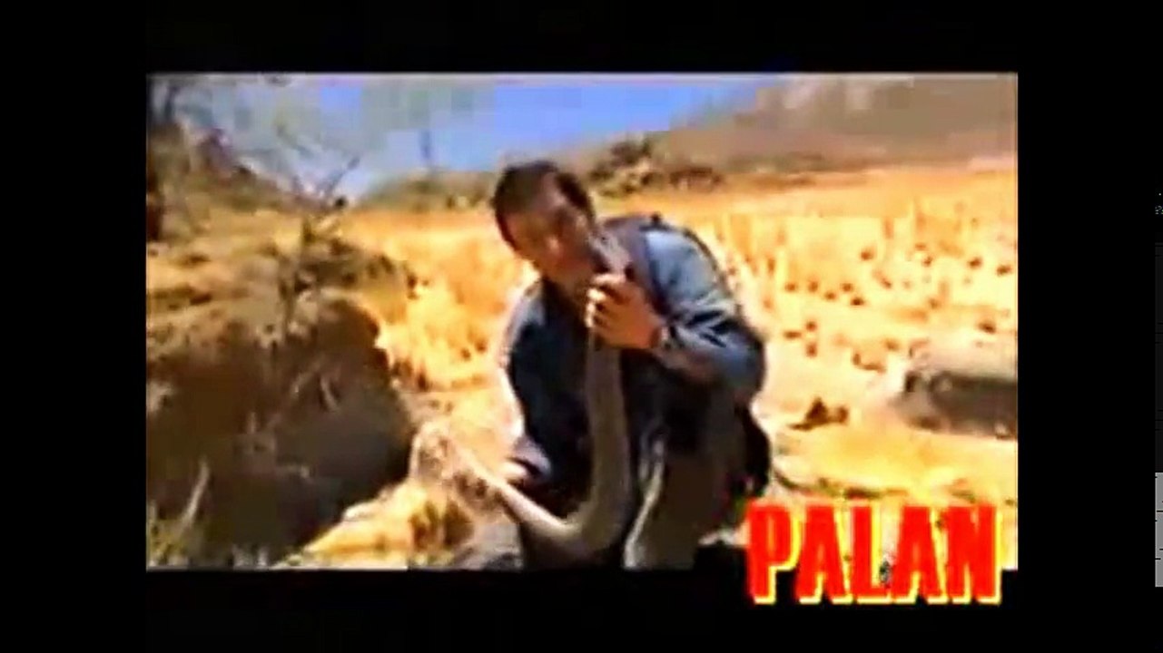 فيديو رائع لاخطر انواع الثعابين السامة و مشاهد رائعة لتزاوج الافاعي