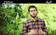 مختارات من قصيدة ما شان أم المؤمنين وشانى ـ إنشاد  أحمد محمد حسان إهداء إلى أمنا عائشة رضى الله تعال