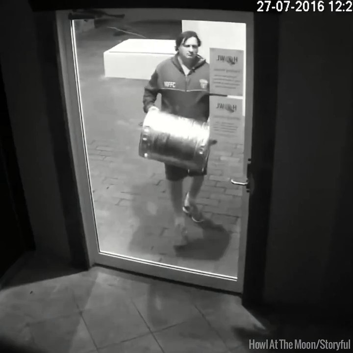 Idiot thief