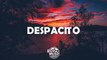 Justin Bieber - Despacito (Lyrics) ft. Luis Fonsi, Daddy Yankee (VMK, ThatBehavior Remix)