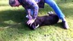 Un dresseur canin réanime un chien grâce à un massage cardiaque