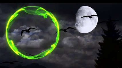 [Nhạc EDM hay nhất 2017] Janji - Together (Feat. Vivien)