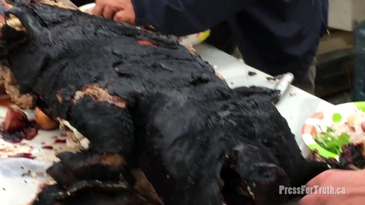 The Cryptocurrency  POT  Coin And The Future Of Cannabis Trading