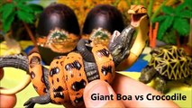 8 REPTILES ANIMALS 3D PUZZLES SURPRISE TOYS - Frilled Lizard, Boa vs Crocodile, Tarantula