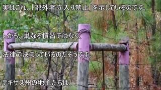 【衝撃】知らないと危険！アメリカで紫色の柵を見かけたら要注意。実はこんな意味があった！