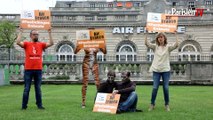 Défense des animaux : One Voice manifeste contre Air France
