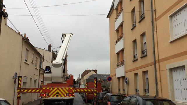Destruction d'un nid de frelons asiatiques par les pompiers