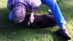 Un chien sauvé par un massage cardiaque donné par un étranger !