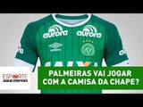O Palmeiras vai, mesmo, jogar com a camisa da Chapecoense?