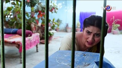 Love In Gulshan e Bihar Episode 35
