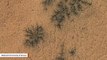 Astronomers Find 'Spider' Formations On Mars In Unexpected Locations