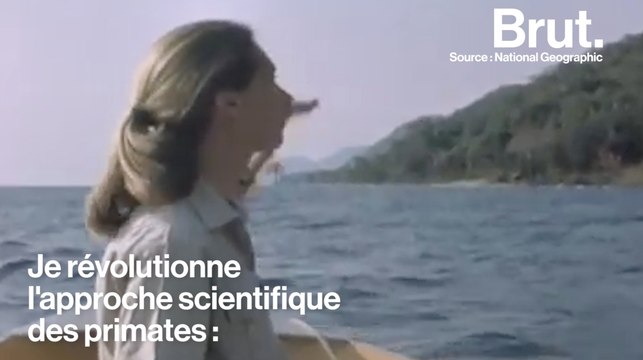 Un parcours scientifique exemplaire : portrait de Jane Goodall