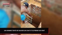 Un homme tente de sauver un chat… et se prend un énorme vent (Vidéo)