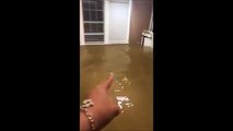 Inundaciones de Harvey : hombre pesca pez en su propia casa