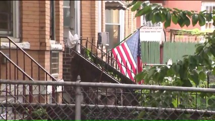 New York City Man Arrested for Trying to Join ISIS