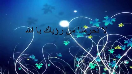 اذكى حصان في التاريخ شاهد ماذا فعل لكي يهرب من مالكته فيديو غريب جدا