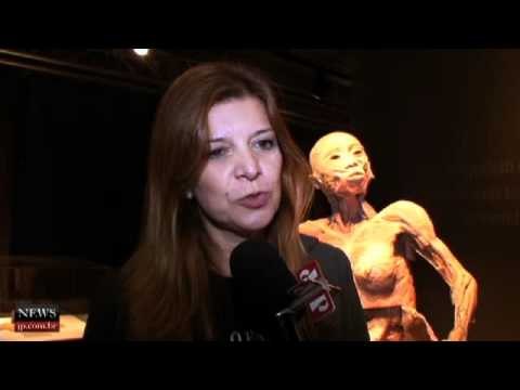 Exposição Fantástico Corpo Humano traz a SP cadáveres e órgãos humanos plastificados