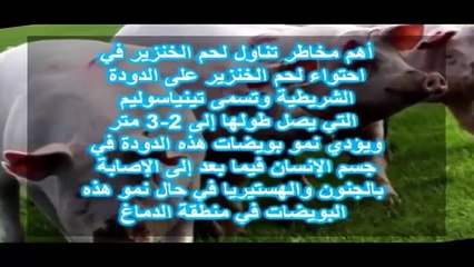 هل تعلم لمادا خلق الله الخنزير ولمادا حرم اكله (2)