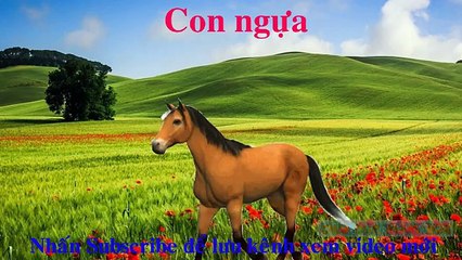 Các con vật cho bé ngoan và nghe lời| Dạy bé học online