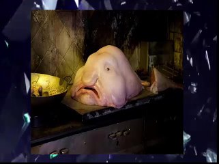 TOP 12 Most  Shocking Ocean Creatures (Blobfish)