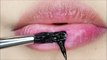 New Amazing Lips Ideas  Lipstick Tutorial Compilation 2017
