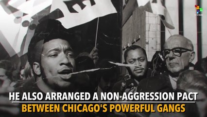 Fred Hampton: The Revolutionary Black Panther