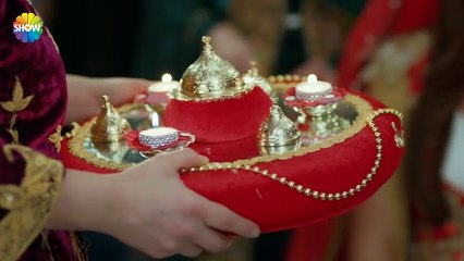 dashuria nuk njeh fjal 130